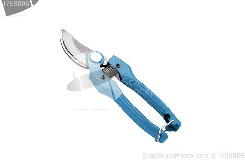 Image of blue garden pruner on the white