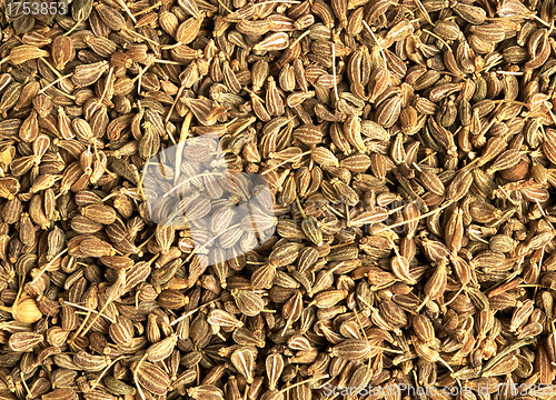 Image of Cumin seeds