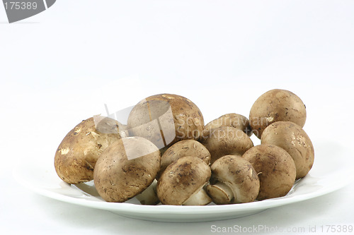 Image of chestnut mushrooms