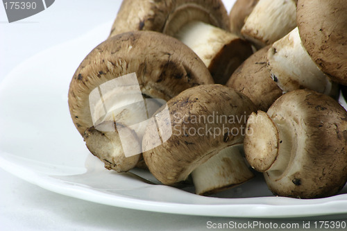 Image of chestnut mushrooms