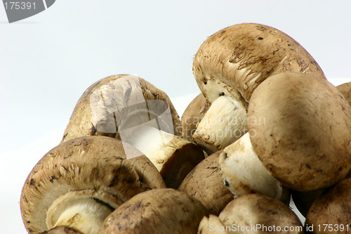 Image of chestnut mushrooms