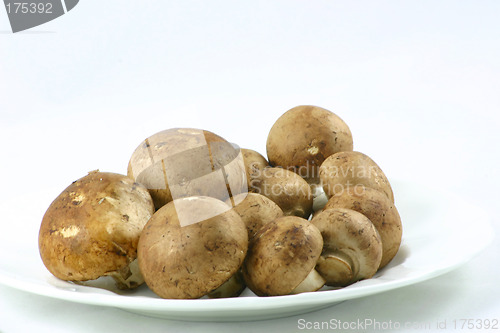 Image of chestnut mushrooms