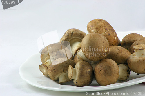 Image of chestnut mushrooms