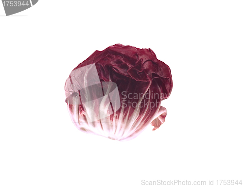 Image of fresh red cabbage on a white background