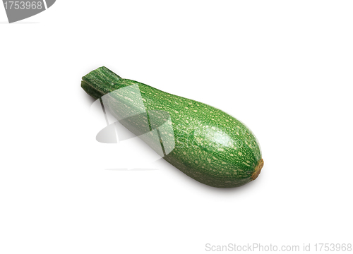 Image of green butternut squash on white background