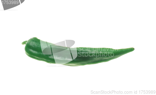 Image of One chili pepper, green on white background