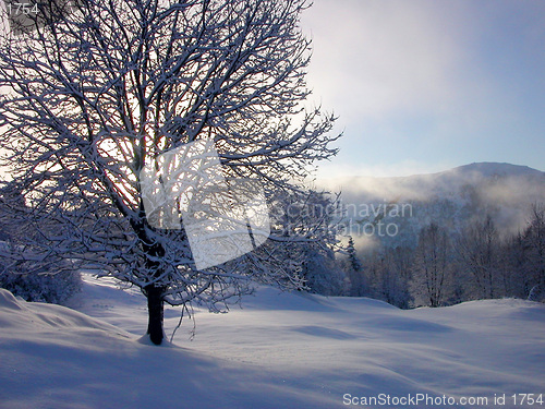 Image of Winter