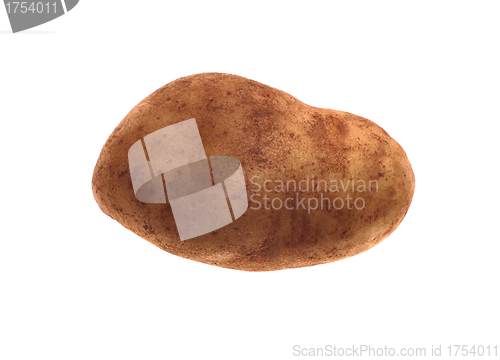 Image of New potato isolated on white background close up