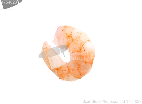 Image of shrimp isolated on a white background