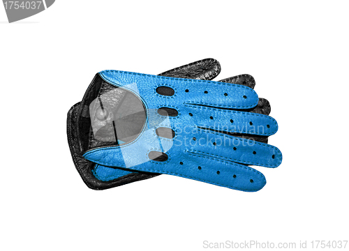 Image of Blue Glove