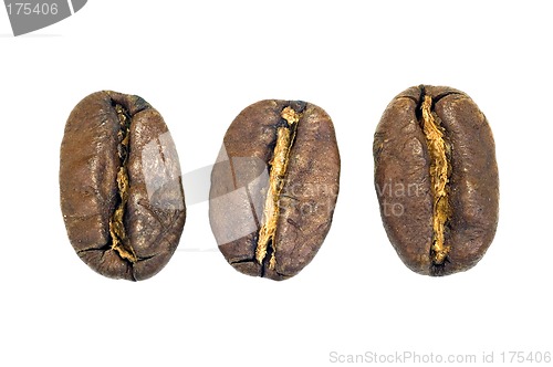 Image of Big coffe beans