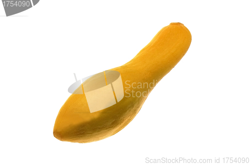 Image of Fresh yellow zucchini isolated