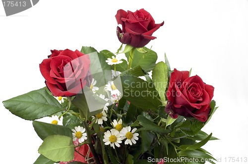 Image of Red roses