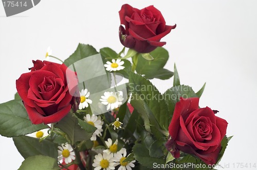 Image of Red roses