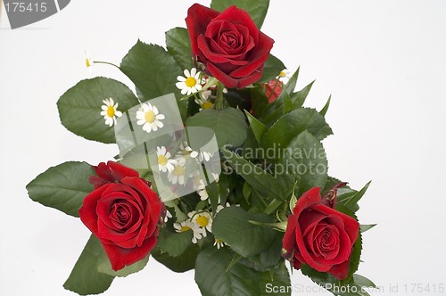 Image of Bouquet of red roses