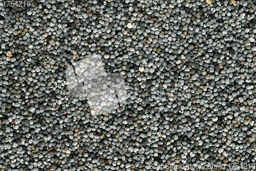 Image of Poppy seeds