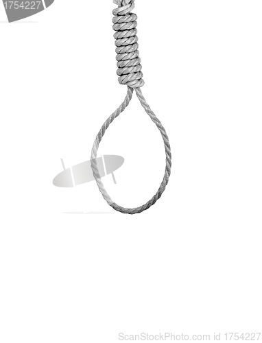 Image of Noose isolated on white