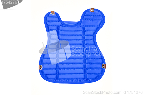 Image of Blue Shield