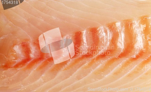 Image of raw salmon fillet background