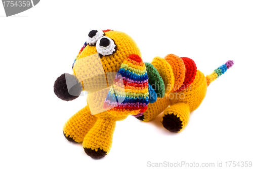 Image of knitted toy-dog ready for be a present.