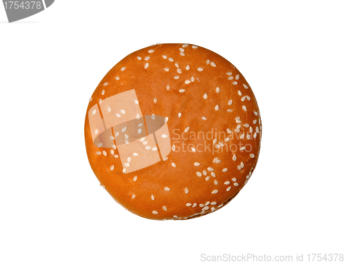 Image of appetizing bun with sesame isolated