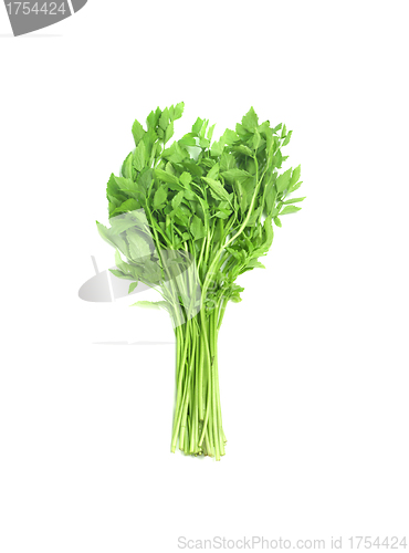 Image of green vegetable