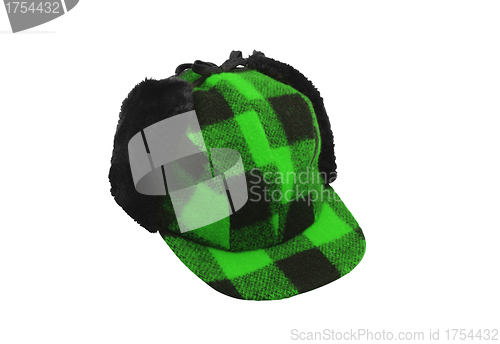 Image of green cap with black ears