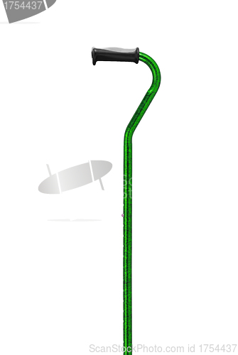 Image of green walking stick under thew white background