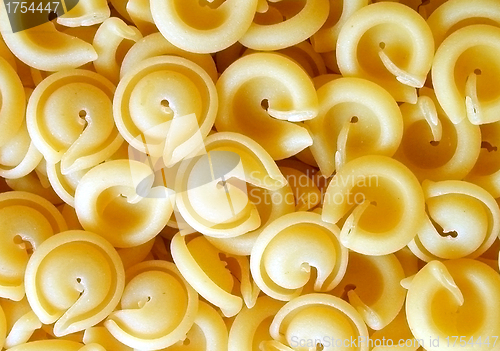 Image of Close view of gramigna pasta