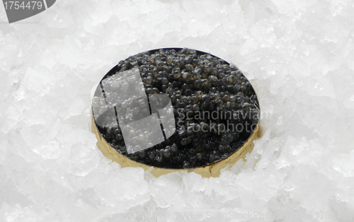 Image of Black caviar in a bowl isolated