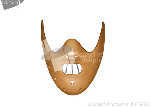 Image of restraint mask