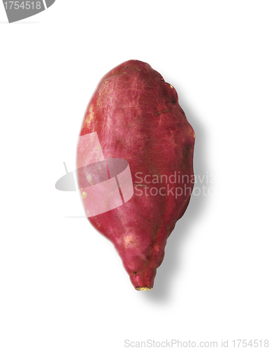 Image of red batat isolated