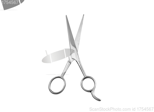 Image of Professional Haircutting Scissors