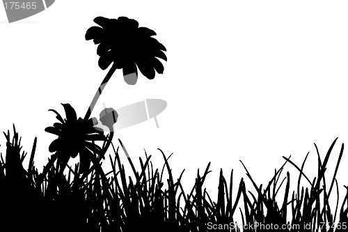 Image of Meadow Silhouette