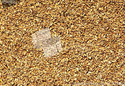 Image of natural oat grains background, closeup