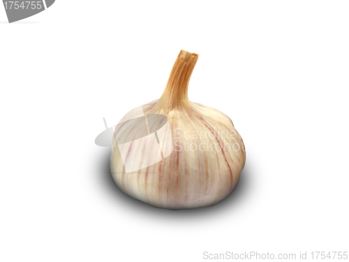 Image of Garlic isolated on white background.