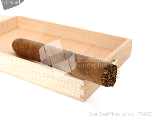 Image of cuban cigar in wooden box