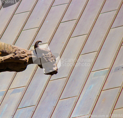 Image of Gargoyle stands watch