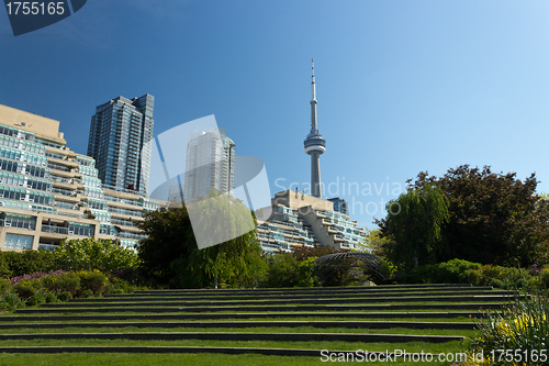 Image of CN Tower seen from the Music Garden.