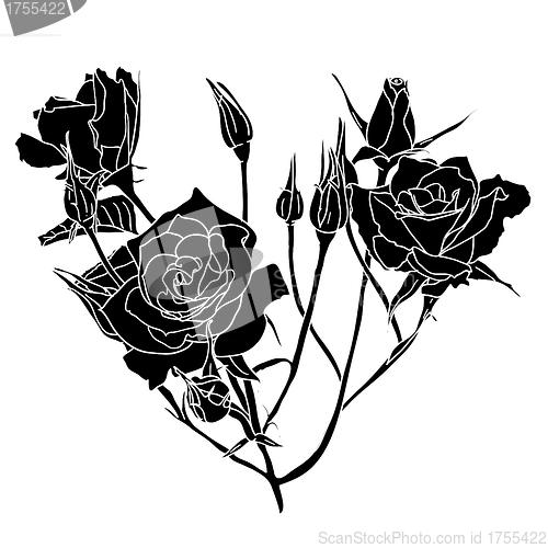 Image of floral design element and hand-drawn , vector illustration