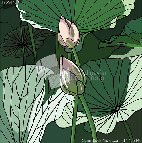 Image of  Realistic Oriental lotus - a flower  