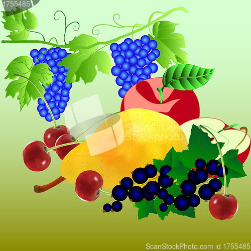 Image of set of fruits