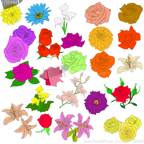 Image of Set of  in hand drawn style roses. Vector EPS 10 illustration.