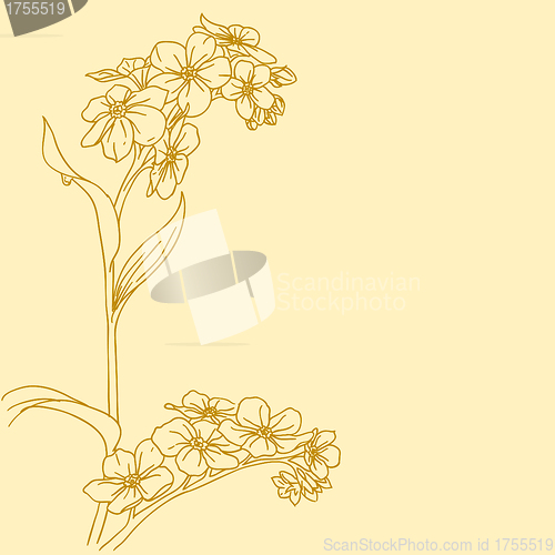 Image of Beautiful flowers  on a white background drawn by hand
