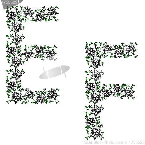 Image of Hand drawing ornamental alphabet. Letter EF