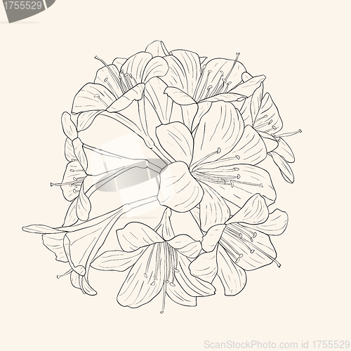 Image of floral background with blooming lilies