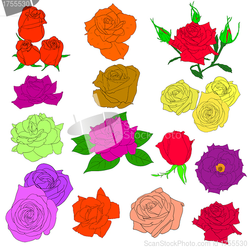 Image of Set of  in hand drawn style roses. Vector EPS 10 illustration.