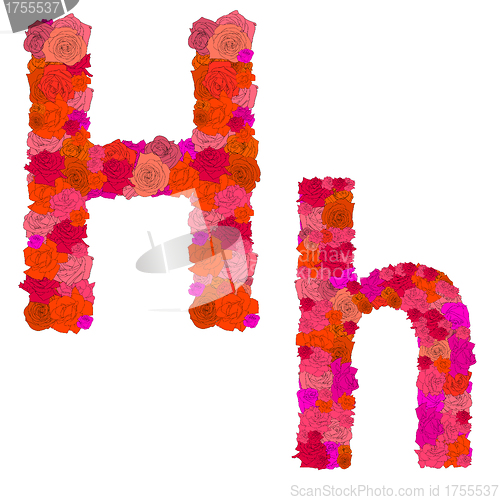 Image of Flower alphabet of red roses, characters H-h