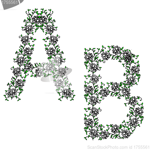 Image of Hand drawing ornamental alphabet. Letter AB