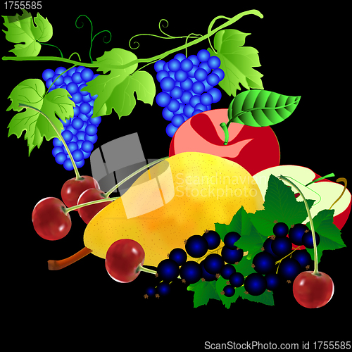 Image of set of fruits